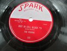 The Robins - Riot in Cell Block #9/Wrap it Up 10