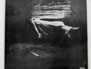 BILL EVANS, JIM HALL UNDERCURRENT UNITED ARTISTS LAX3112 Japan INSERT VINYL LP
