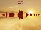 Aerial (2018 Remaster) by Kate Bush (Vinyl 2023)