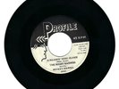 Rockabilly 45-Night Raiders Feat.Mickey Hawks- Sreamin