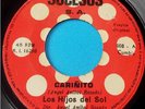 LOS HIJOS DEL SOL 
