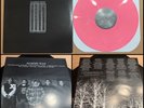 HARMS WAY Reality Approaches LP Pink Vinyl-Weekend Nachos Judiciary Guilt Trip