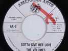 Northern Soul 45 VOLUMES Gotta Give Her Love AMERICAN ARTS VG+ promo HEAR e