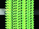 DAPHNI 