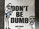 ASAP ROCKY DON'T BE DUMB 2LP Rocky Rugahand Rough Trade Exclusive