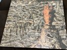 Siouxsie and the Banshees - JuJu  2018 European vinyl reissue (Mint)