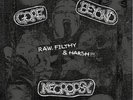 Gore Beyond Necropsy – Raw, Filthy & Harsh  (Diehard 2 with Slipmat) F.O.A.D.