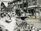 Billy Bragg and Wilco - Mermaid Avenue Vol. II - 2 x 180g LPs, NEW, SEALED