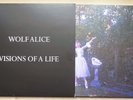 WOLF ALICE 2xLP ‘Visions Of A Life’ HMV Exclusive Clear Vinyl and Slipcase 2017