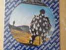 Pink Floyd, Delicate Sound Of Thunder Picture Disc Brazil Vinyl Record LP