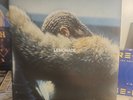 Beyonce - Lemonade [180g Yellow vinyl] Vinyl LP Album
