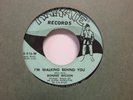 Ronnie Wilson I'm Walking Behind You/Boy In A Crowd Northern Soul 7