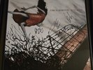 Circa Survive Juturna Vinyl Album, 12