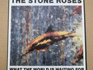 STONE ROSES WHAT THE WORLD IS WAITING FOR 7