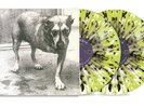 'ALICE IN CHAINS' 30TH ANNIVERSARY 2LP Translucent Highlighter Yellow w/ Black