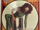 KATE BUSH - The Kick Inside - Rare 1st Press UK Picture Disc LP (Vinyl Record)