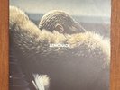 BEYONCE - Lemonade - Vinyl (gatefold yellow vinyl 2xLP) - read description