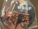 WASP - LIVE ANIMAL (F**K LIKE A BEAST) VINYL PICTURE DISC MFN P 12 KUT 109 EX