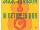 Jack Johnson In Between Dub (Vinyl) 12