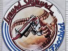 Lynyrd Skynyrd Freebird Picture Disc 12