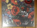 Bloodline - Viva Corruption - LP (red/marble)