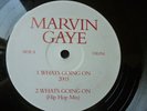 Marvin Gaye / What's Going On 2003 Rare 12 masterpieces REMIX ual Healing