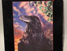 ORIGINAL Stranglers THE RAVEN LP UK First Press 3D Lenticular Cover UAG 30262