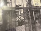 Paul McCartney - Chaos And Creation In The Backyard [New Vinyl LP] 180 Gram