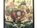 FLEET FOXES Helplessness Blues 2xLP Sub Pop 2011 SIGNED By Band