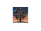 Talk Talk: Laughing Stock - LP vinyl *SEALED*