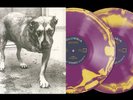 Alice in Chains Purple & Yellow Swirl Self-Titled D2C 30th Anniversary Vinyl LP