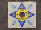 REPARATA AND THE DELRONS SATURDAY NIGHT DIDN'T HAPPEN PROMO PANIC MALA M-12.000