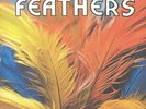 FOAT, Greg/EERO KOIVISTOINEN - Feathers - Vinyl (limited LP + MP3 download code)
