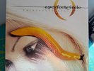 A Perfect Circle Thirteenth Step LP - Unknown Pressing Year