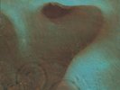Pink Floyd - Meddle Vinyl LP (LP Record, Album, Gatefold)