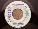 KENNY HAMBER Anything You Want 45 Arctic 131 Philly Northern Soul 1st Press VG+