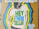 Plain White T's 