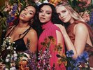 (LP) Little Mix - Between Us (Gatefold) (Vinyl) signed  insert