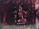 Poison - Vinyl LP Schallplatte - Native Tongue S11