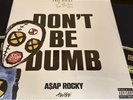 ASAP ROCKY DONT BE DUMB DUMMY 2 DISC VINYL LP SIGNED INSERT New In Hand Sealed