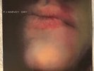PJ Harvey 'Dry' (Vinyl) 2020 Reissue-Too Pure/UMe- MINT in Shrink  Out of Print