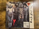 The Pop Group Y 1979 Radar Records Promo Vinyl 1st Press with Poster