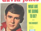 DAVID JONES-(MONKEES)-PICTURE SLEEVE +45-(WHAT ARE WE GOING TO DO?)--PS--PIC--