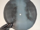 LED ZEPPELIN BABY I'M GONNA LEA X-Ray USSR Record Roentgen Bone Ribs Music Vinyl