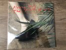 Ice Age Plowing Into The Field Of Love Double Vinyl LP