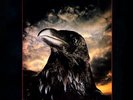 The Stranglers - The Raven (LP, Album, Lam)