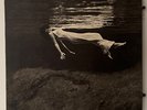 BILL EVANS & JIM HALL - UNDERCURRENT OG 1962 UNITED ARTISTS MONO PRESS UAJ 14003