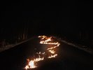 BOB MOSES Battle Lines LP NEW VINYL Domino