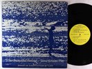 Jaine Roman-Pitt - This Beautiful Feeling LP - Unity - Private Folk OG Press