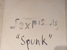 Sex Pistols Spunk Black Vinyl Punk LP Blank BLA 169